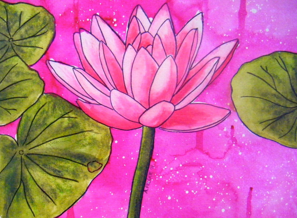 Pink Waterlily Watercolour pencil and ink on paper, 200mm x 300mm, AUD$200